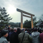 新しい鳥居を仰ぐ